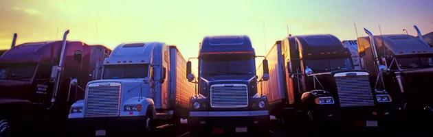 Freight Capacity Shortages and Service Challenges Persist