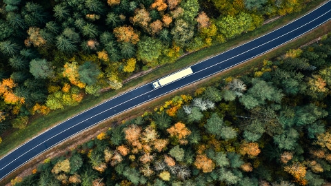 truck driving down rural roadway through forest